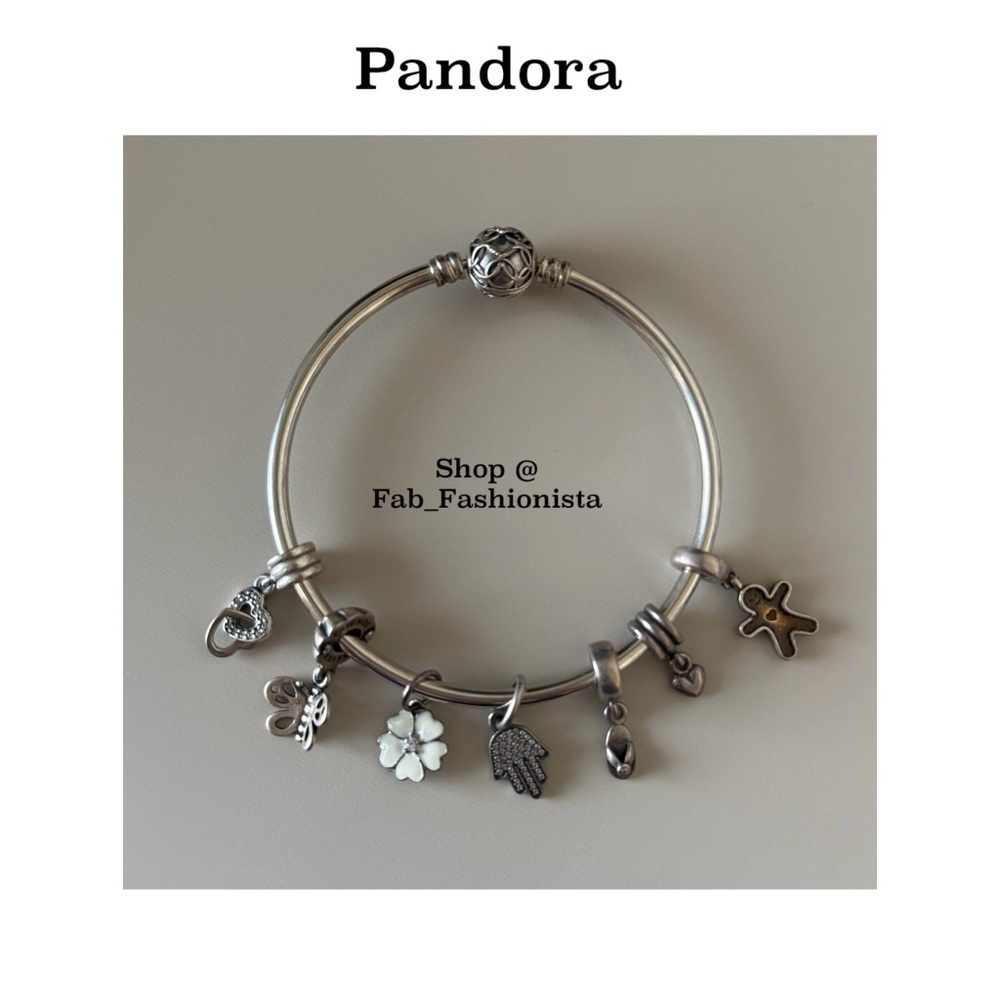Pandora Sterling Silver Charms and Bracelet